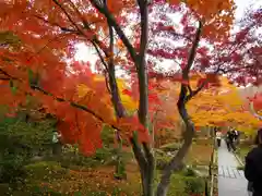 宝筐院(京都府)