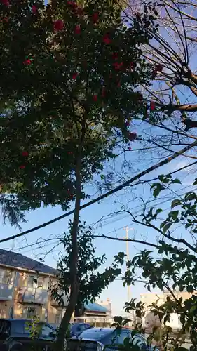 十二所社の自然