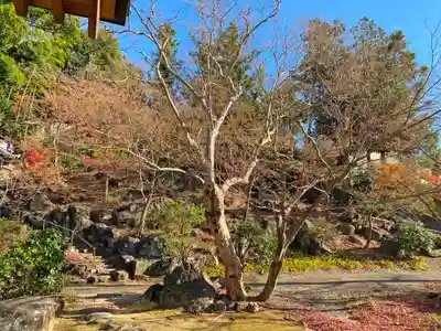 愛宕神社の自然