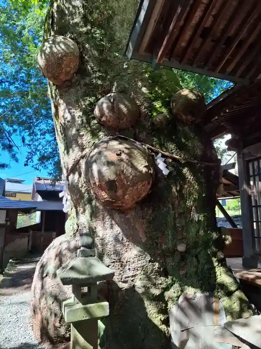 先宮神社(長野県)