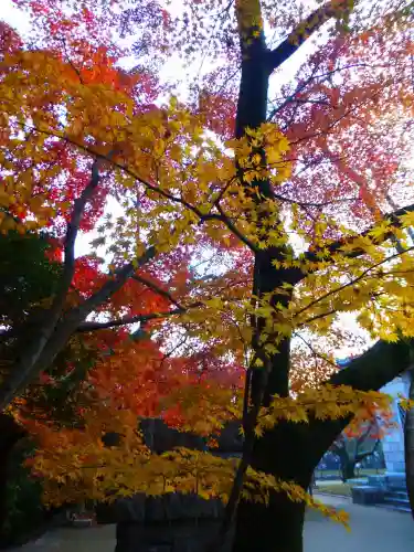 功山寺(山口県)