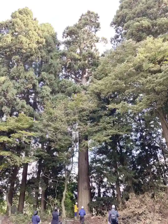 志賀理和氣神社(岩手県)