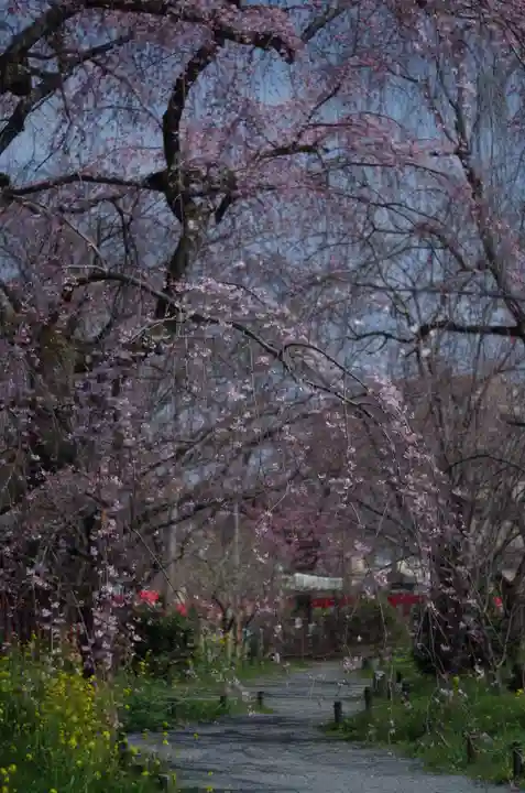 平野神社(京都府)