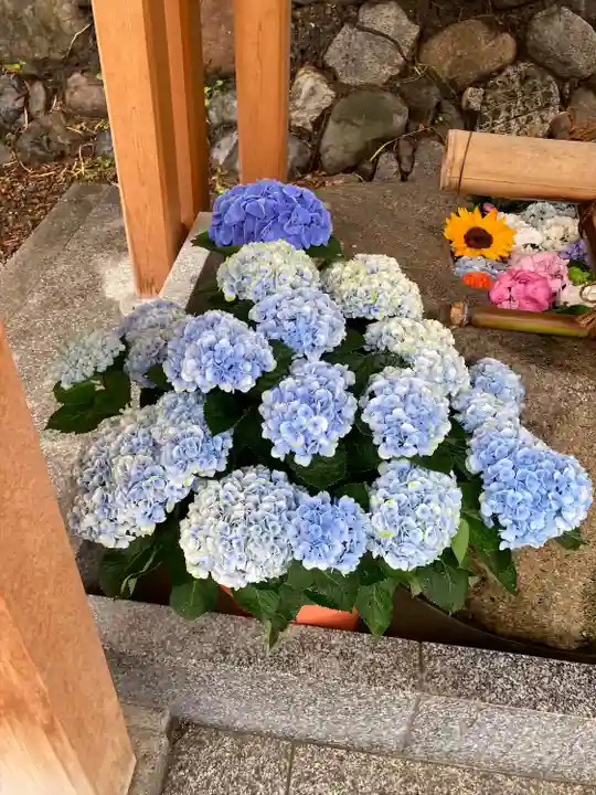 茨木神社(大阪府)