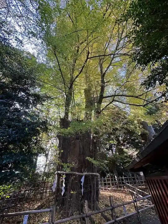 大國魂神社(東京都)