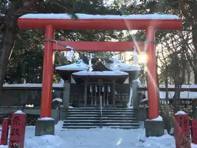 札幌伏見稲荷神社の鳥居