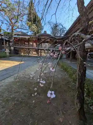 妙法寺(東京都)