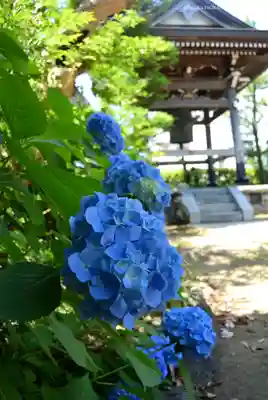 萬福寺(神奈川県)