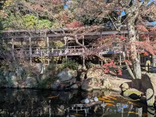 楽法寺（雨引観音）(茨城県)