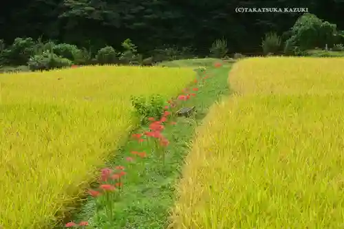 日向神社(神奈川県)