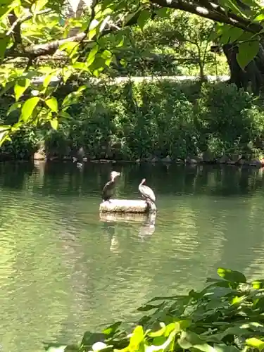 大盛寺(東京都)