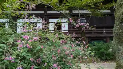 真正極楽寺(真如堂)(京都府)