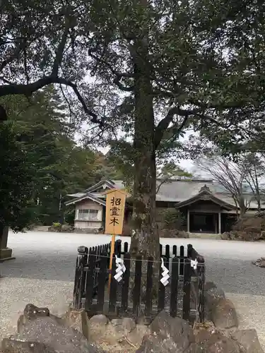 霧島神宮(鹿児島県)