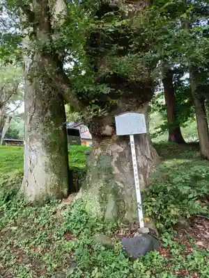 諏訪大社上社前宮の景色