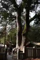 伊弉諾神宮(兵庫県)