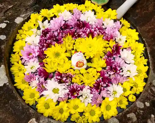 真言宗　善通寺派　薬王寺(香川県)