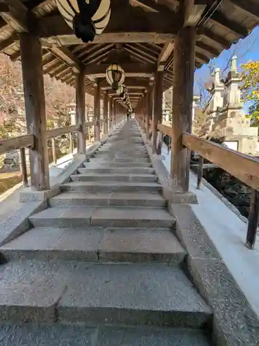 長谷寺(奈良県)