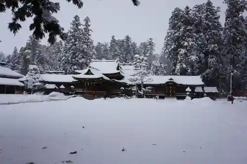 多賀大社の本殿・本堂