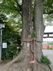 比々多神社(神奈川県)