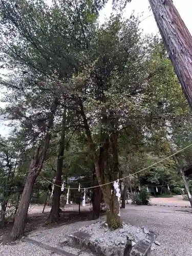 大和神社(奈良県)