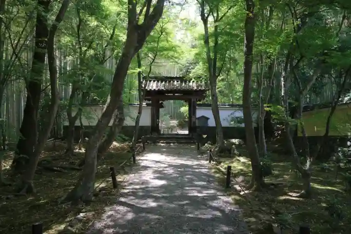 地蔵院(京都府)