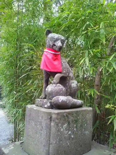 白笹稲荷神社の狛犬