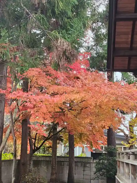 胸肩神社(青森県)