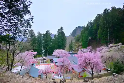 金櫻神社(山梨県)