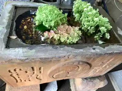 菊名神社の手水舎