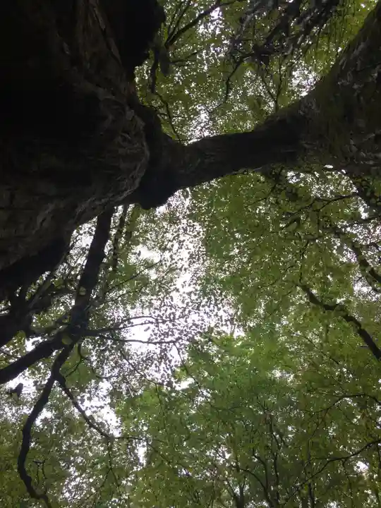 富岡神社(北海道)