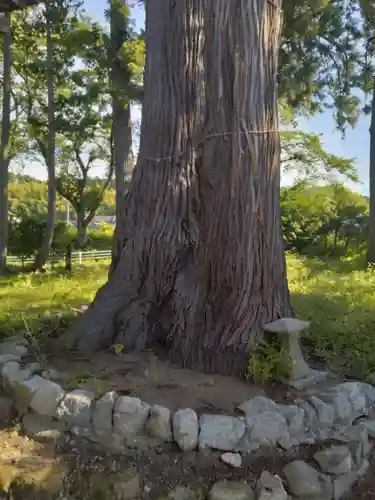 貴船神社(福島県)