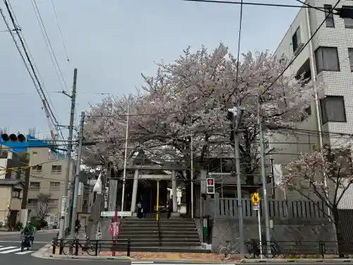 浅草富士浅間神社の{uncategorized: "未分類", other: "その他", undefined: "問題あり", building: "その他建物", grave: "お墓", sacred_gate: "鳥居", guardian: "狛犬", statue: "像", buddha: "仏像", history: "歴史", nature: "自然", garden: "庭園", animal: "動物", pagoda: "塔", temizu: "手水舎", mountain_gate: "山門・神門", sanctuary: "本殿・本堂", subordinate: "末社・摂社", art: "芸術", scenery: "景色", jizo: "地蔵", ema: "絵馬", goshuin: "御朱印", omikuji: "おみくじ", items: "授与品その他", amulet: "お守り", goshuincho: "御朱印帳", eats: "食事", festival: "お祭り", votive_dance: "神楽", shichigosan: "七五三参", wedding: "結婚式", experience: "体験その他", initially: "初詣", around: "周辺", anti_infection: "感染症対策"}