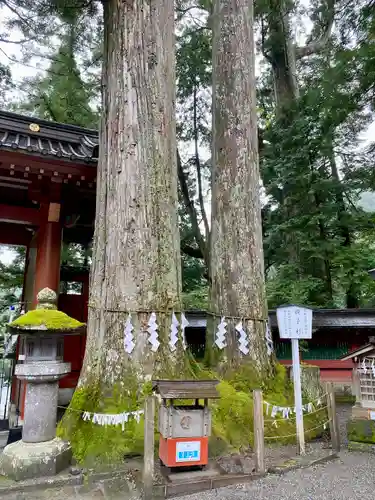 日光二荒山神社(栃木県)