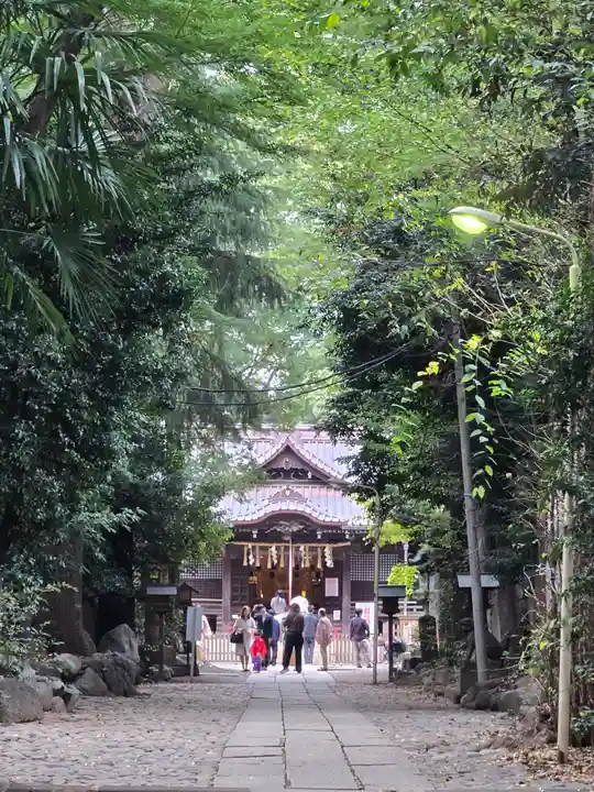代々木八幡宮の本殿・本堂