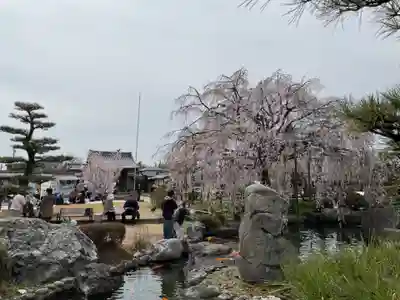 正眼寺(愛知県)