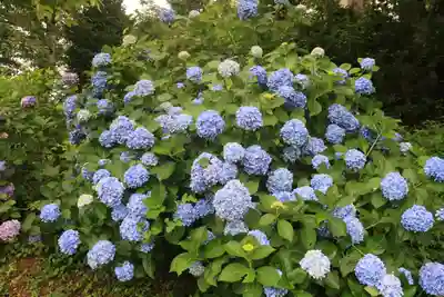 高屋敷稲荷神社の庭園