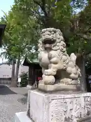 杉杜白髭神社の狛犬