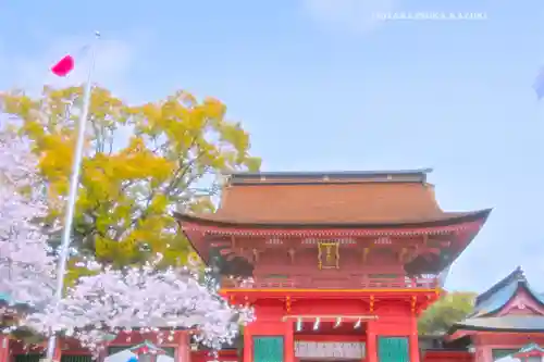 富士山本宮浅間大社(静岡県)