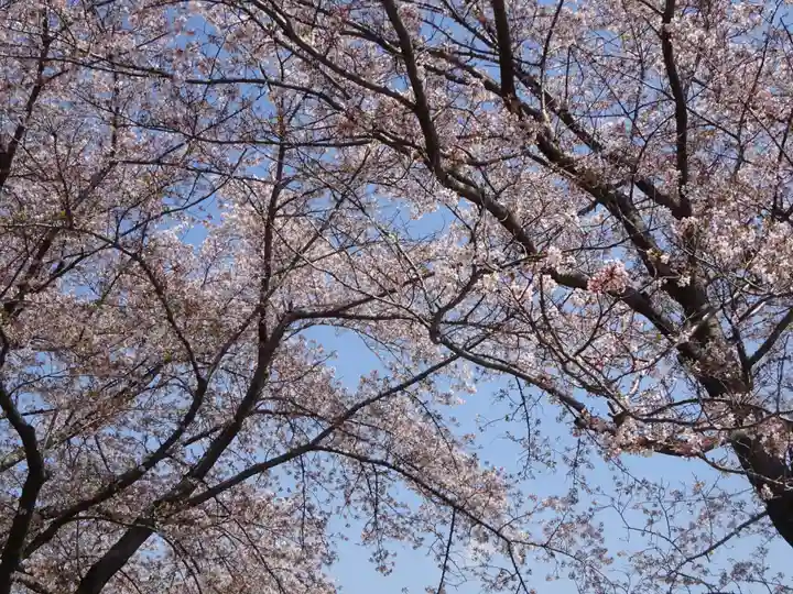 かっぱの寺 栖足寺の自然