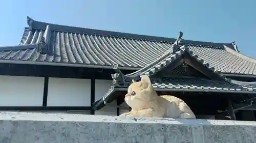 極楽寺の狛犬