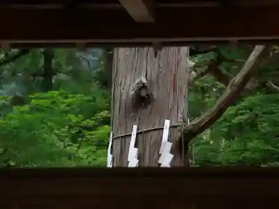宝登山神社(埼玉県)
