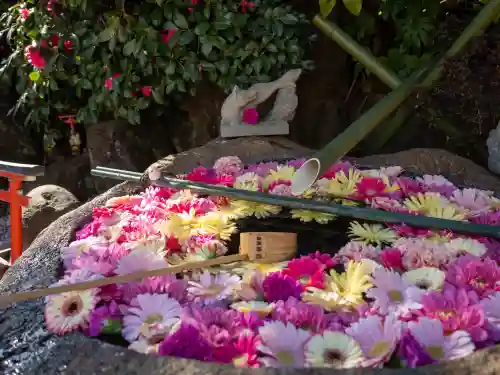 東京羽田 穴守稲荷神社の{uncategorized: "未分類", other: "その他", undefined: "問題あり", building: "その他建物", grave: "お墓", sacred_gate: "鳥居", guardian: "狛犬", statue: "像", buddha: "仏像", history: "歴史", nature: "自然", garden: "庭園", animal: "動物", pagoda: "塔", temizu: "手水舎", mountain_gate: "山門・神門", sanctuary: "本殿・本堂", subordinate: "末社・摂社", art: "芸術", scenery: "景色", jizo: "地蔵", ema: "絵馬", goshuin: "御朱印", omikuji: "おみくじ", items: "授与品その他", amulet: "お守り", goshuincho: "御朱印帳", eats: "食事", festival: "お祭り", votive_dance: "神楽", shichigosan: "七五三参", wedding: "結婚式", experience: "体験その他", initially: "初詣", around: "周辺", anti_infection: "感染症対策"}