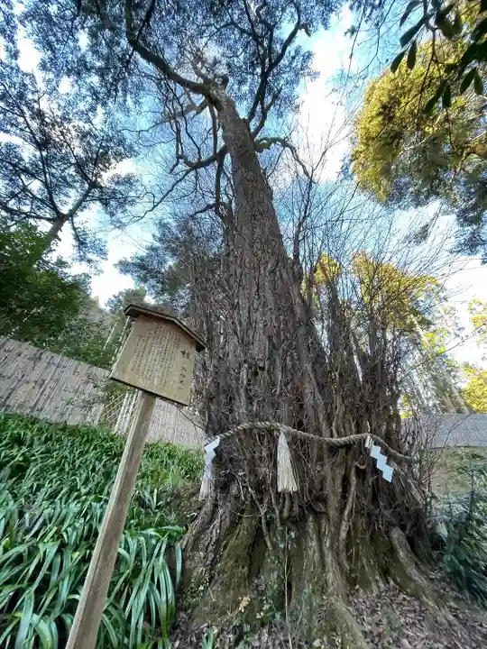 貴船神社結社(京都府)