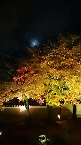 高台寺（高台寿聖禅寺・高臺寺）の庭園