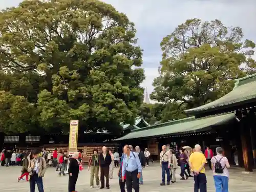 明治神宮(東京都)
