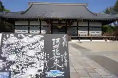 仁和寺(京都府)