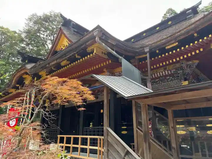 大崎八幡宮(宮城県)