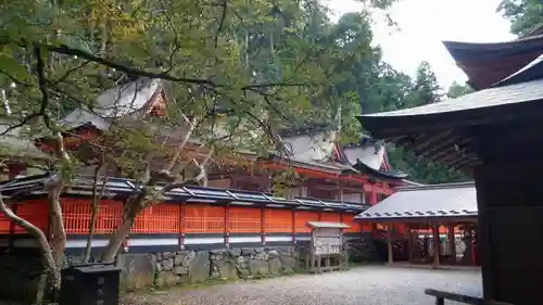 丹生都比売神社の本殿