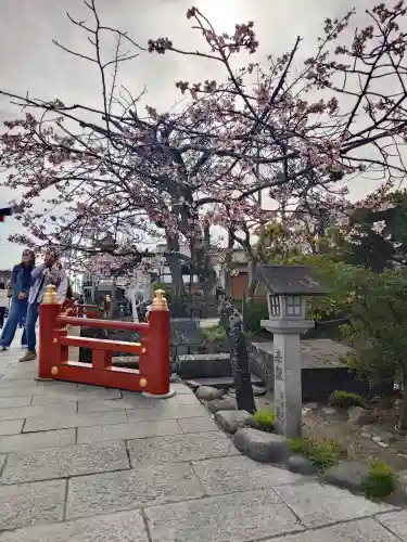 鶴岡八幡宮の{uncategorized: "未分類", other: "その他", undefined: "問題あり", building: "その他建物", grave: "お墓", sacred_gate: "鳥居", guardian: "狛犬", statue: "像", buddha: "仏像", history: "歴史", nature: "自然", garden: "庭園", animal: "動物", pagoda: "塔", temizu: "手水舎", mountain_gate: "山門・神門", sanctuary: "本殿・本堂", subordinate: "末社・摂社", art: "芸術", scenery: "景色", jizo: "地蔵", ema: "絵馬", goshuin: "御朱印", omikuji: "おみくじ", items: "授与品その他", amulet: "お守り", goshuincho: "御朱印帳", eats: "食事", festival: "お祭り", votive_dance: "神楽", shichigosan: "七五三参", wedding: "結婚式", experience: "体験その他", initially: "初詣", around: "周辺", anti_infection: "感染症対策"}