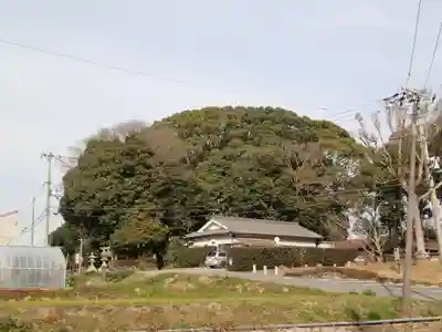 平群坐紀氏神社の周辺